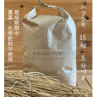 【ふるさと納税】【令和7年産】初霜(源種)5分づき15kg　(栽培期間中農薬・化学肥料不使用)【1721467】