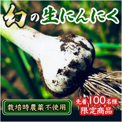 
                  ＼期間限定／採りたて 生にんにく 1.2kg (BJ018)
                