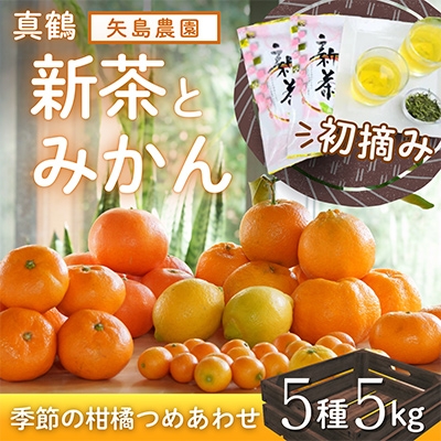 
                  新茶と季節の柑橘詰め合わせ5種5kg! いろんな味が楽しめる農家直送みかんBox＜先行受付＞【1617064】
                