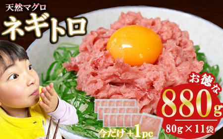 今だけ増量！ネギトロ (まぐろたたき) ８８０ｇ (８０g ×１１袋) セット小分け 天然まぐろ ネギトロ ねぎとろ ネギトロ丼 手巻き寿司 軍艦 寿司 まぐろたたき 天然 まぐろ マグロ 冷凍 魚介 海鮮 トロ 鮪 人気 返礼品 三重県 尾鷲市 CH-116