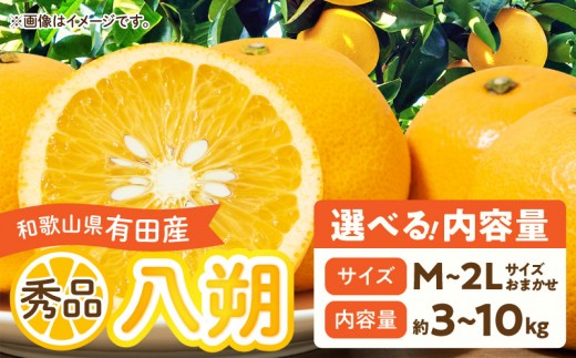 
                  【2027年先行予約】和歌山県有田産 八朔 秀品 選べる内容量 はっさく 3kg 5kg 10kg M～2L サイズ おまかせ 和歌山県有田産 完熟 甘み 増す デザート おやつ 果物 柑橘 お取り寄せ 和歌山県 湯浅町 送料無料 _DI6014n-SKU
                
