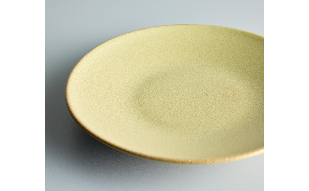 Tableware Flat Plateペアセット24cm 鶯