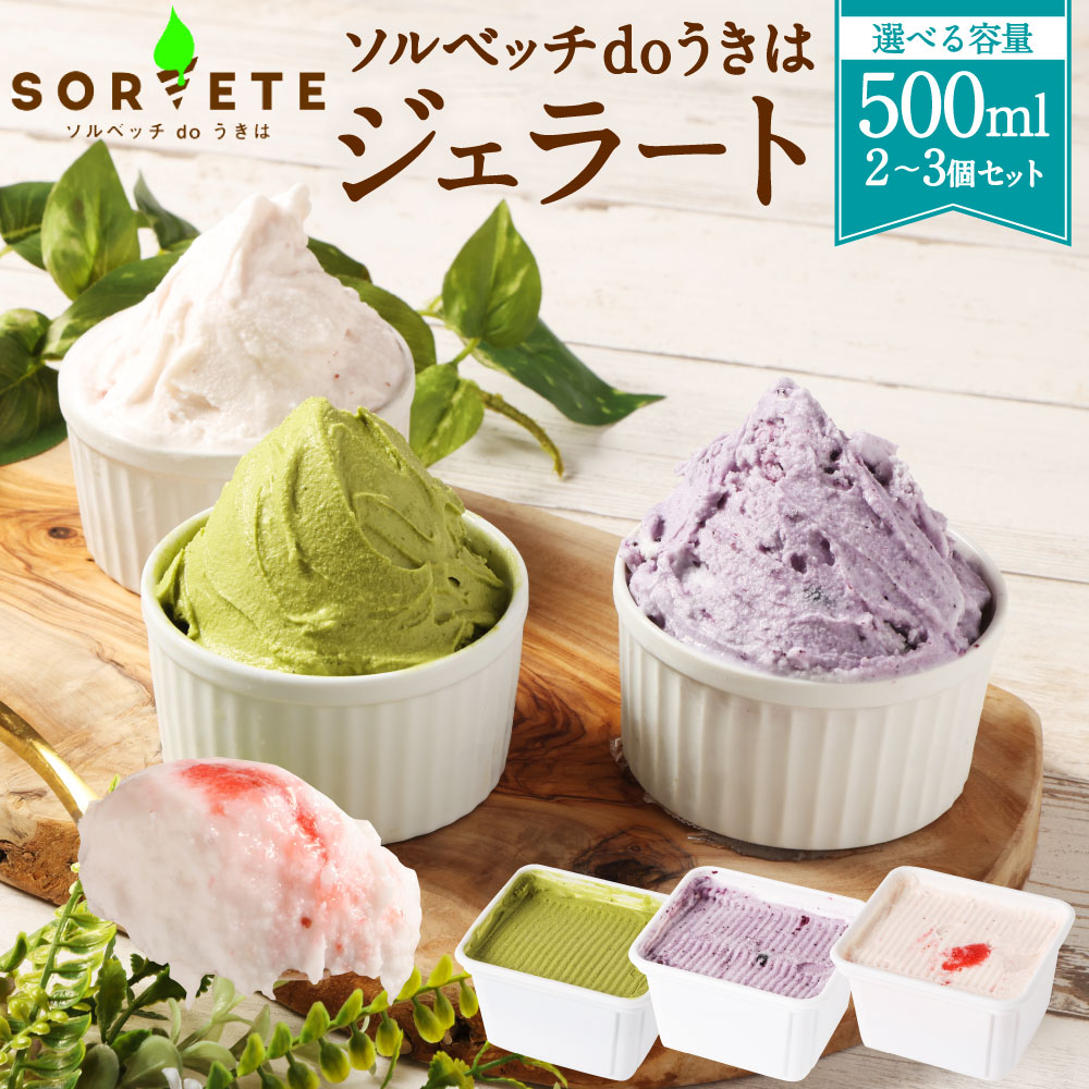 【ふるさと納税】 【選べる容量】ソルベッチdoうきは ジェラート 500ml 2～3個セット フルーツ ミルク スイーツ デザート いちごミルク ブルーベリーミルク 送料無料 福岡県 うきは市
