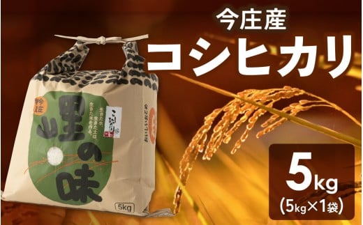 【先行予約】【令和7年産】朝夕の寒暖差が生む極旨のお米 今庄産 コシヒカリ 5kg 【11月より順次発送予定】 こしひかり 福井 北陸 おこめ