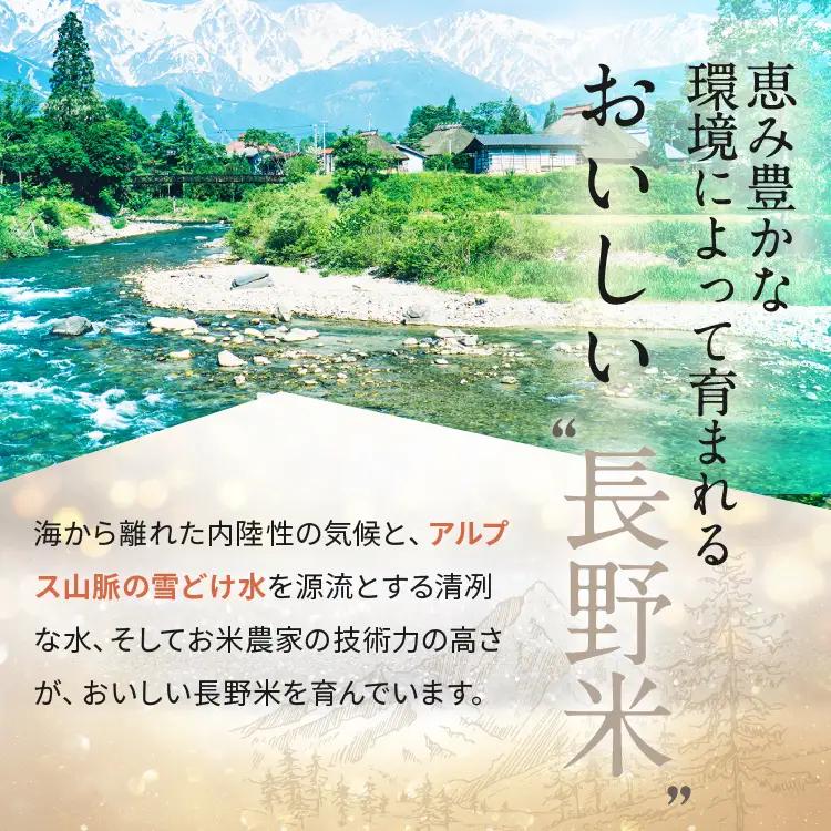 【2026年10月発送】こめのこ 米粉 プレーン シフォンケーキ ＋ 松川村特産 新米 1kg | こめのこ工房なごみや