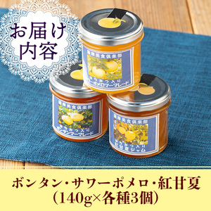 isa682 3種の柑橘ジャム食べ比べセットB(計9個・ボンタン、サワーポメロ、紅甘夏 各140g) 加工食品 果物 フルーツ 詰め合わせ 果肉 柑橘 低糖 ハンドメイド ジャム ギフト マーマレード