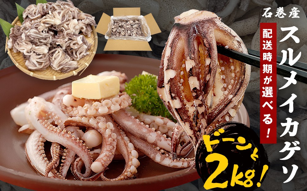 
                  いか ＜訳あり＞ スルメイカ ゲソ 2kg 配送時期が選べる 宮城県産 冷凍 国産 下足 イカ イカゲソ 唐揚げ いかげそ おつまみ 魚介類 焼イカ バーベキュー BBQ わけあり 不揃い 烏賊 炒め物 フライ ゲソ天 唐揚げ イカゲソ2kg 宮城県 石巻市 ふるさと納税 石巻 宮城
                