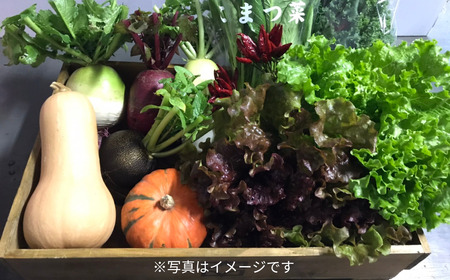 旬の野菜セット(7～8品) 季節の野菜 詰合せ [内山農園] 【011S166】