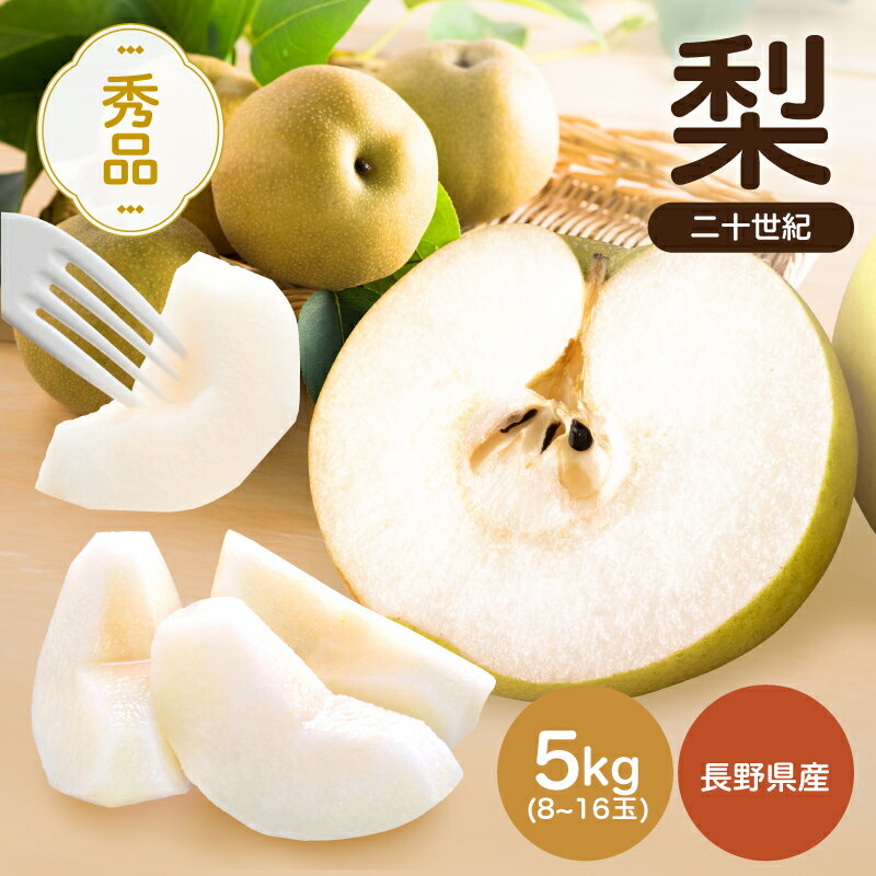【ふるさと納税】【南信州産】二十世紀　秀品　約5k　8～16玉 JAみなみ信州DMセンター飯田市 | 二十世紀 二十世紀梨 梨 ナシ なし フルーツ 果物 ジューシー 信州 南信州 送料無料 ふるさと納税 長野県 飯田市 K22