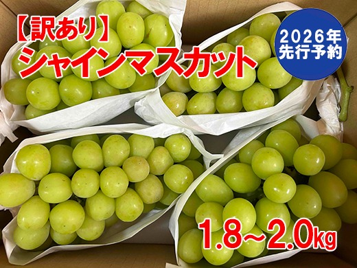 【2026年発送分 先行予約】＼高評価多数／【訳あり】シャインマスカット  1.8kg～2kg (3～6房) 【8月下旬以降発送予定】 訳アリ 訳あり品 シャイン マスカット ぶどう ブドウ 葡萄 徳用 家庭用 ご家庭用 旬 新鮮 約2kg 約1.8kg 約1.9kg くだもの 果物 フルーツ 山梨 やまなし 富士川町
