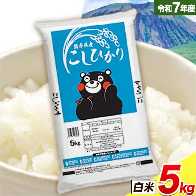 ふるさと納税 南阿蘇村 令和7年産 こしひかり 白米  5kg白米 《7-14日以内に出荷予定(土日祝除く)》