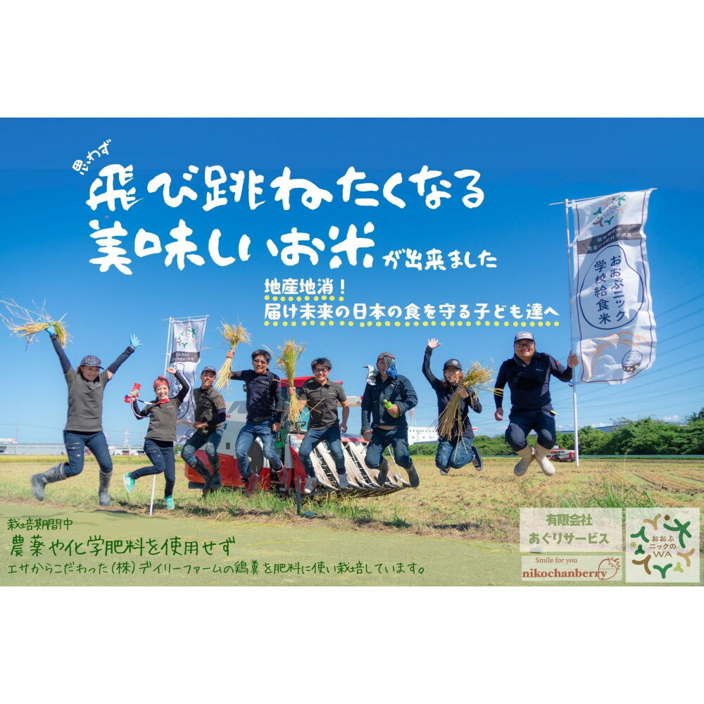 【ふるさと納税】栽培期間中農薬化学肥料不使用 おおぶニック学校給食米 精米5kg | あいちのかおり　お米　こめ　白米　食品　人気　おすすめ　送料無料　品種　愛知県　大府市