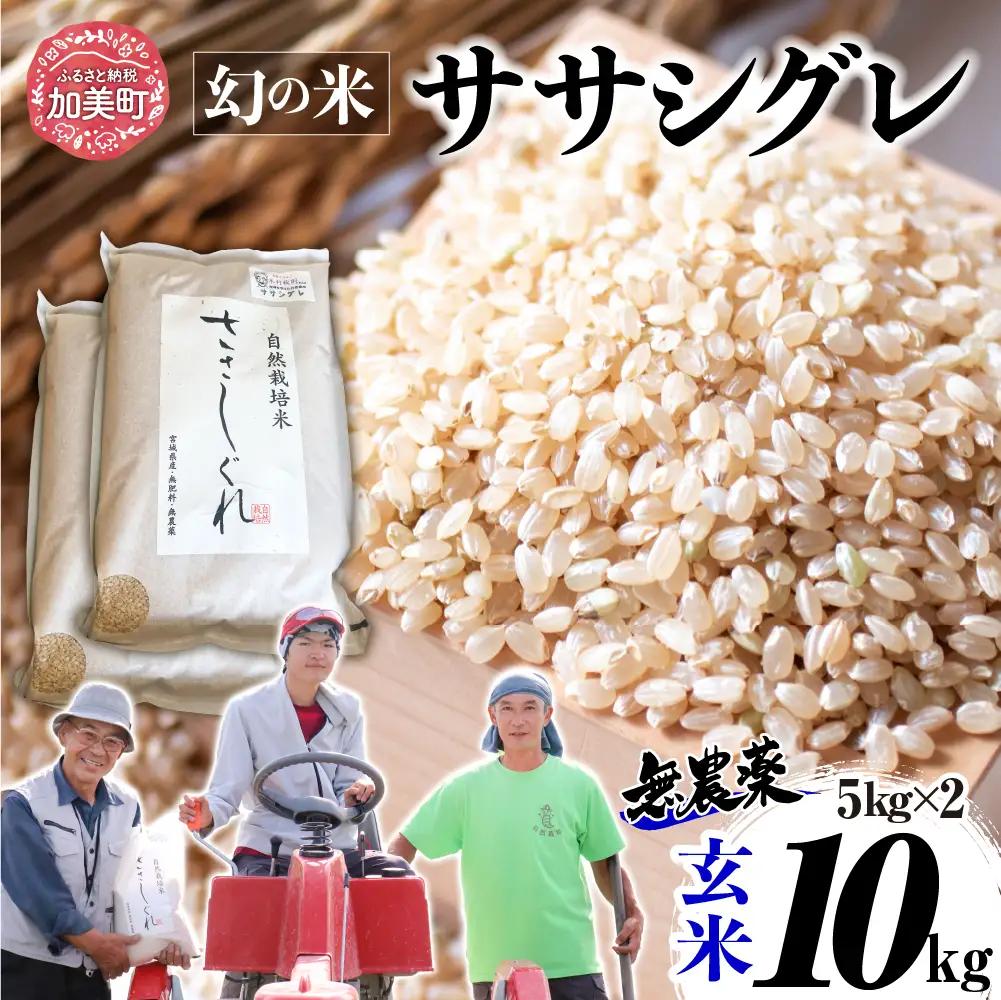 玄米 令和8年産ササシグレ 10kg 玄米