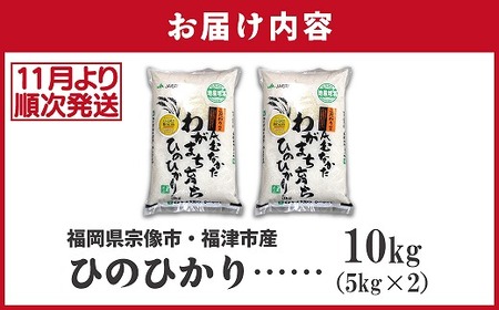 【令和7年産米】【2025年11月より順次発送】JAよりお届け！「ひのひかり」 10kg（5kg×2袋）[G2315]