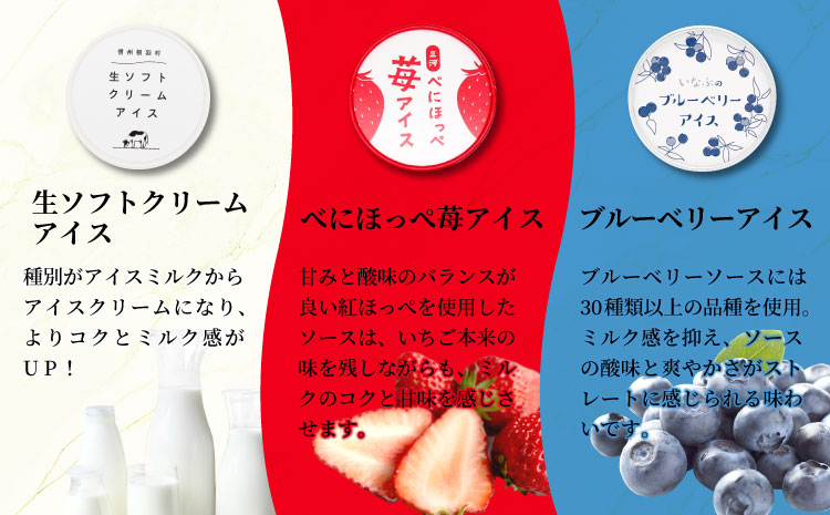 ３種類のアソートA　８個セット 生ソフトクリームアイス 紅ほっぺ いちごアイス 80ml 100ml 生乳 牛乳 ミルク スイーツ アイスクリーム 信州 搾りたて アイス イチゴ ブルーベリー 600