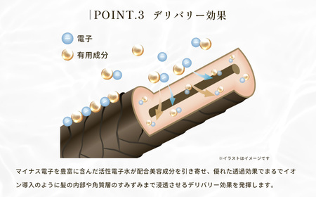 【 エレクトロン 】 詰め替え 各2本 シンクロシャンプー ファム 600ml ＆ シンクロ トリートメント FOR SCALP 600g_OS084-0010