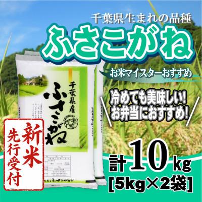 ふるさと納税 大網白里市 【令和8年産 新米先行受付!】千葉県産「ふさこがね」精米 10kg(5kg×2袋)
