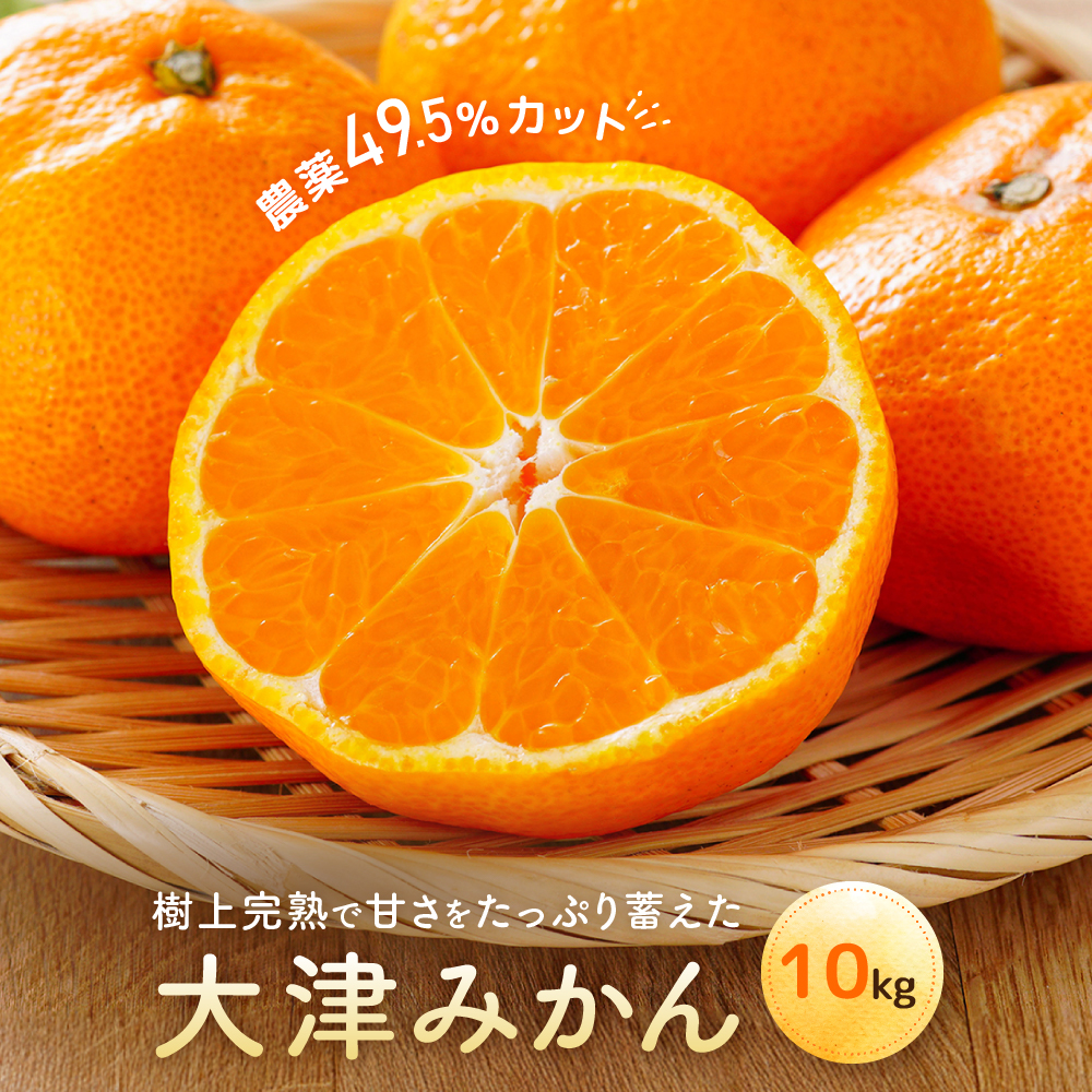 大津みかん（10kg）※12月中旬～下旬発送