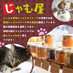 猫まみれになれる猫カフェチケット(3枚) チケット 猫 カフェ 体験 ネコ ねこ 保護猫 動物 カフェ利用チケット 保護猫カフェ 利用券 利用優待券 触れ合い ふれあい 体験型 動物カフェ 癒し 写真