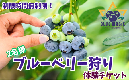 ブルーベリー狩り チケット 2名様