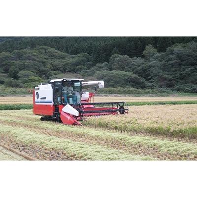 ふるさと納税 八雲町 【北海道八雲町熊石産】ゆめぴりか10kg(精白米) |  | 03