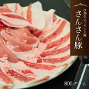 【ふるさと納税】さんさん豚ロースしゃぶしゃぶセット //(400g×2パック入)／長野県産豚肉 南信州 ポーク ロース しゃぶしゃぶ バークシャー種 安全 安心 冷凍 SF01