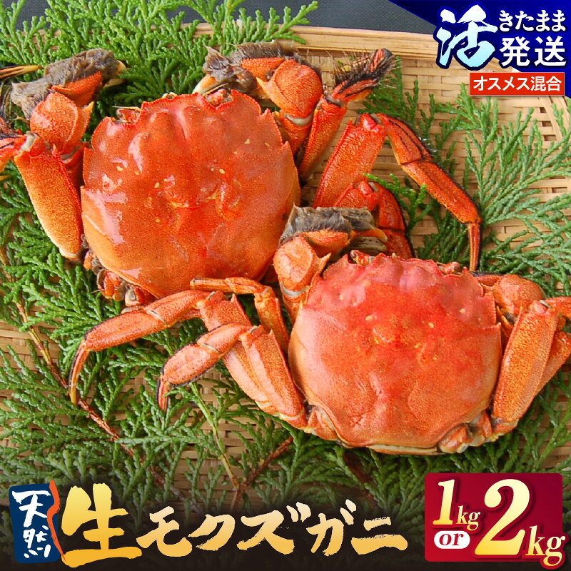 【ふるさと納税】＼活きたまま／ 天然 活生モクズガニ【選べる内容量：1kg・2kg】 1kgあたり5〜9匹 川ガニ モクズガニ 鮮魚 高級食材 カニ汁 ふるさと納税 かに カニ 蟹 上海ガニの親戚 グルメ お取り寄せ ギフト 人気返礼品 兵庫県 香美町 冷蔵便 山米鮮魚 74-32 送料無料
