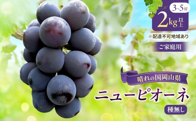
            【チョイス限定】【2026年先行予約】【ご家庭用】ぶどう 岡山県産 ニューピオーネ （ 種無し ） 2kg以上（3～5房） 《2026年8月下旬-9月中旬頃出荷》 葡萄 ブドウ フルーツ 数量限定 岡山 里庄町 果物 
          