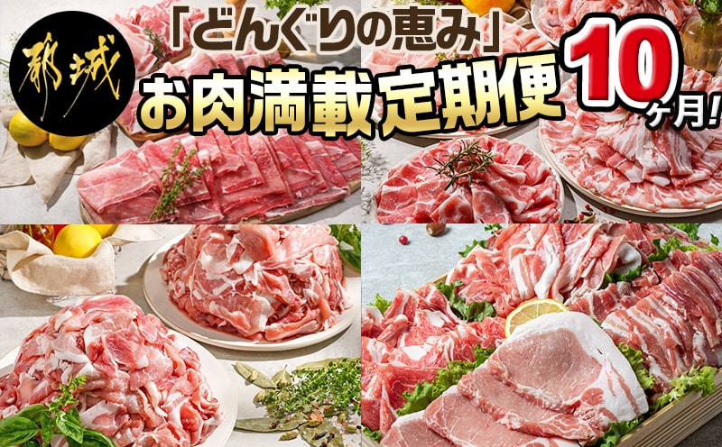 
「どんぐりの恵み豚」お肉満載定期便(10ヶ月)_T120(10)-1102_(都城市) 豚肉 ロースかつ 豚バラスライス 肩ローススライス こま切れ 切落し スペアリブ ロースしゃぶ バラしゃぶ 肩ロースしゃぶ
