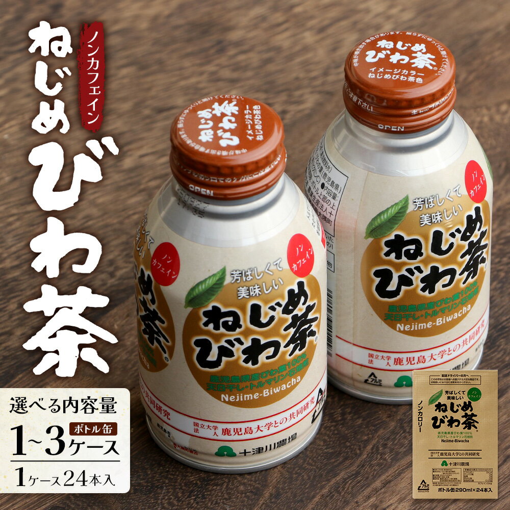 【ふるさと納税】『ねじめびわ茶』ボトル缶（ 290ml × 24 本入り ）【 1 〜 3 ケース 定期便 】