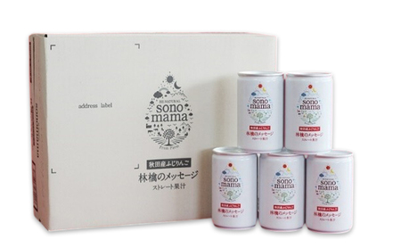 《 定期便 6ヵ月 》 りんごジュース「sonomama」（160g×20本）×3箱 りんご リンゴ ジュース リンゴジュース 飲料