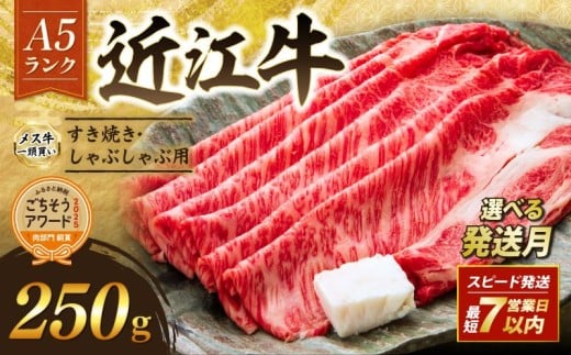 近江牛 A5 特上ロース すき焼き 250g 最短7営業日以内発送 スピード発送 A5ランク メス牛 特上 近江牛ロース ロース 牛肉 肉 お肉 和牛 黒毛和牛 国産牛 日本三大和牛 雌牛 ブランド牛 すきやき しゃぶしゃぶ お歳暮 おすすめ 滋賀 彦根
