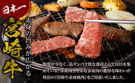 宮崎牛赤身焼肉　計800g 赤身肉 ウデ もも肉