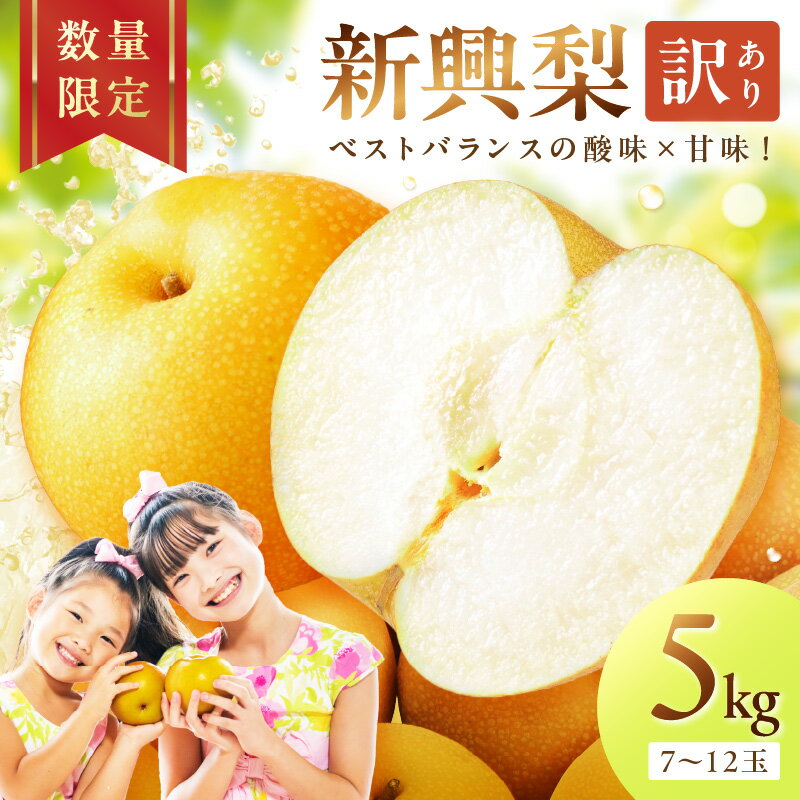 【ふるさと納税】【先行予約／数量限定700】新興梨（訳あり） 5kg （7～12玉）（2026年9月下旬～発送） 国産 ふるさと 納税 梨 なし ナシ ふるさと 納税 期間限定 ふるさと 納税 訳あり 規格外 ふるさと 納税 フルーツ くだもの 果物 傷 赤梨