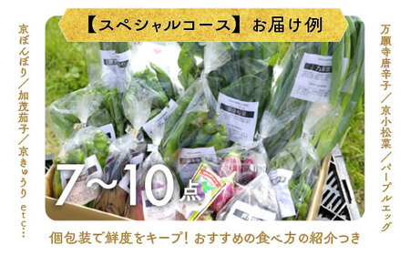 旬の京野菜スペシャル 野菜