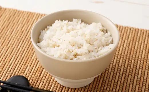 【はくばく】大麦効果 360g×6袋 雑穀 雑穀米 麦ごはん 常温保存 パックご飯 備蓄 混ぜるだけ 健康 機能性表示食品 大麦 もち性