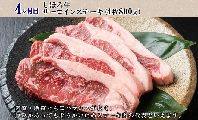 北海道 プレミアム 定期便 全4回 ゴロッケ ローストビーフ よつ葉 発酵バター 伝統造りバター フライドポテト しほろ牛  サーロイン ステーキ コロッケ 牛 肉 ビーフ セット 牛 赤身肉 国産牛