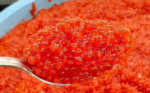 紅鮭いくら醤油漬け 500g 冷凍 年末年始 いくら 鮭いくら ご飯のお供 ご飯 米 北海道 釧路市 F5F-0116