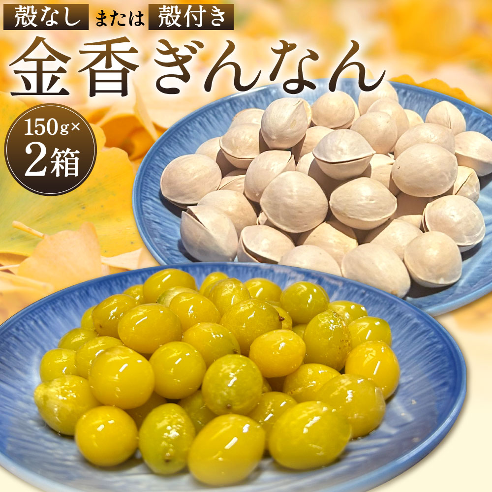 【ふるさと納税】金香ぎんなん 150g×2箱(合計300g) 〈選べる〉殻なし または 殻付き 銀杏 ぎんなん 実 おつまみ おやつ 酒の肴 秋 焼き銀杏 カラ 金香銀杏 国産 福岡県 北九州市 送料無料