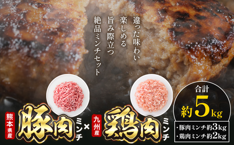熊本県産 豚肉ミンチ 約3kg 九州産 鶏ミンチ 約2kg 計約5kg 植田商事有限会社 《90日以内に出荷予定(土日祝除く)》 熊本県 菊池市 ミンチ 豚肉 鶏肉 ハーブ鶏 お肉 熊本県産 九州産 