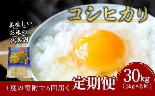 
            【6ヶ月定期便】大分県産 コシヒカリ 5kg×6回 計30kg【2025年10月下旬発送開始】
          