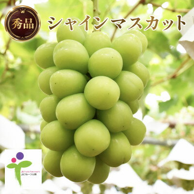 【ふるさと納税】【JAフルーツ山梨】山梨県産シャインマスカット　2房【秀品】【配送不可地域：離島】【1496659】