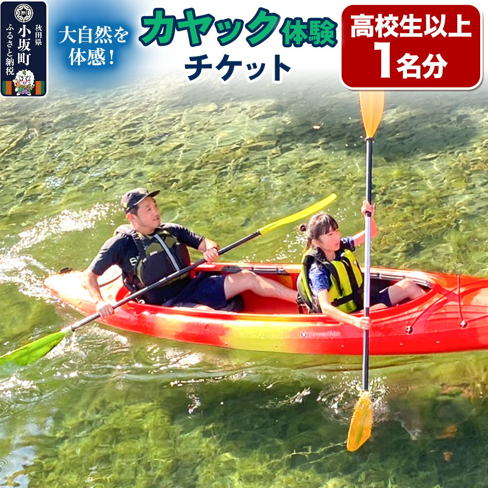 【ふるさと納税】カヤック体験チケット 高校生以上 1名分 体験 アクティビティ 秋田県 小坂町