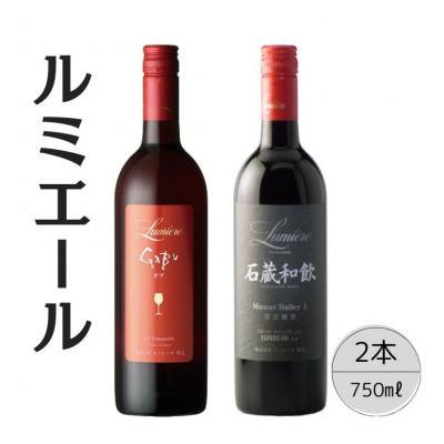 ふるさと納税 笛吹市 ルミエール　GABU・石蔵和飲　計2本セット 167-120