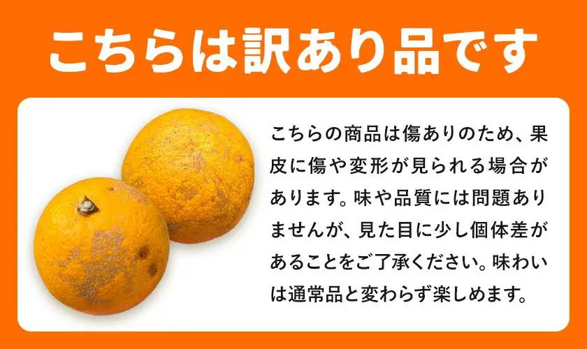 はっさく 訳あり 9kg 株式会社農業福祉研究機構