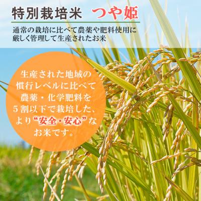 ふるさと納税 山形市 【定期便6回】令和7年産 山形産 特別栽培米 つや姫 5kg×6ヶ月(計30kg)FY25-487 |  | 01