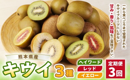 【3ヶ月定期便】 キウイ 3種 （各月約1.5kgずつお届け） 【2026年11月下旬～2027年2月上旬まで順次発送予定】 追熟 低温貯蔵 摘果 果物 くだもの 果実 フルーツ 甘味 甘み 香り 風味 果汁 有機肥料 キウイフルーツ 定期 定期便 定期配送