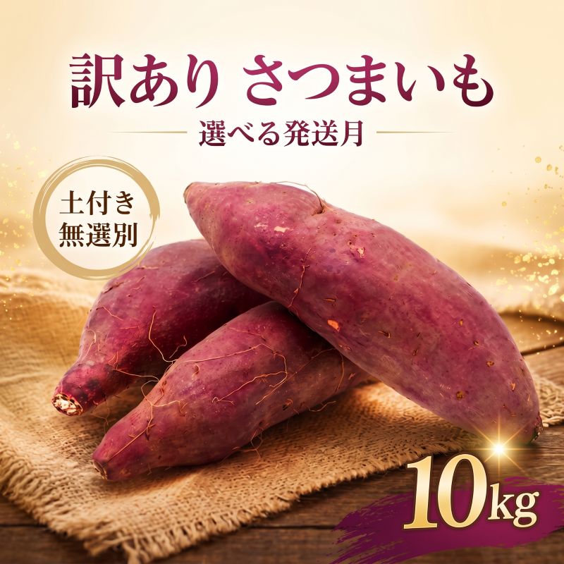 【ふるさと納税】 《選べる発送月》 訳あり さつまいも 紅はるか 約10kg サツマイモ さつま芋 紅ハルカ 甘藷 生芋 芋 焼き芋 やきいも 野菜 おやつ 訳アリ わけあり 家庭用 不揃い 規格外 茨城県 鉾田市 菅谷商店