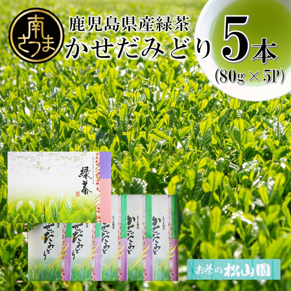 【ふるさと納税】★2025年新茶★ 鹿児島県産緑茶 かせだみどり（80g×5袋） お茶 茶葉 日本茶 緑茶 飲料 飲み物 ギフト 贈答用 国産 鹿児島県産 南さつま市 お茶の松山園 送料無料
