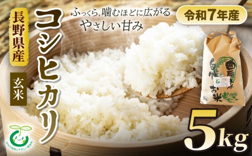 コシヒカリ 玄米 5kg 信州 安曇野 松川村産 特別栽培米 | そば処こうや 米 こめ コメ お米 玄米 コシヒカリ こしひかり ライス 長野県 松川村 信州